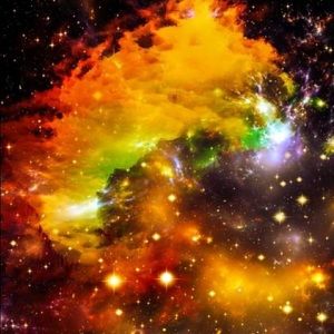 Meet your Posher, Henry